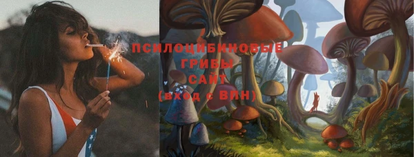 мяу мяу мука Снежинск