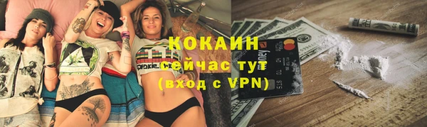 трава Слюдянка