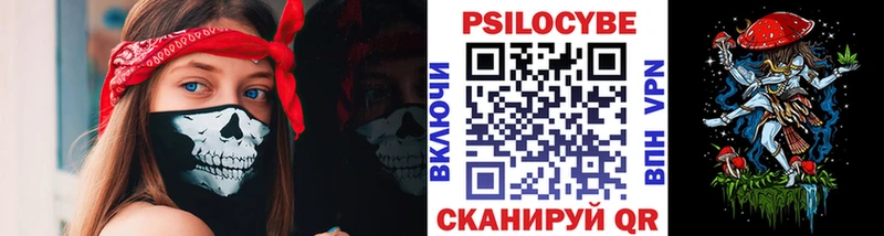 МЕГА как зайти  купить   Питкяранта  Псилоцибиновые грибы Cubensis 